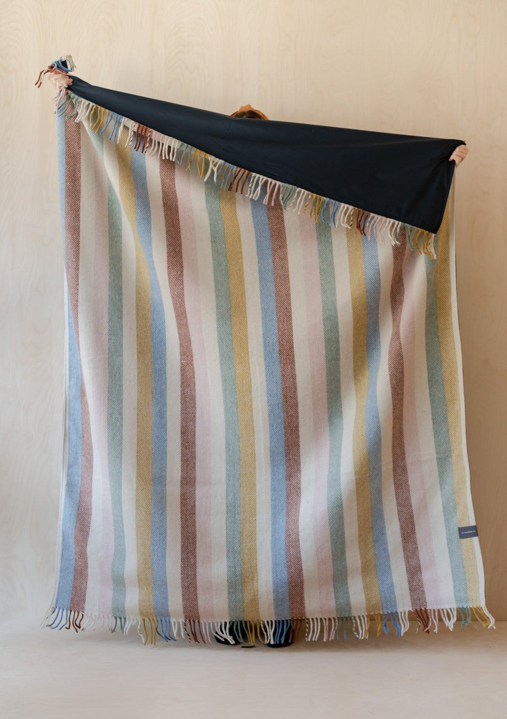 Rainbow Stripe Picnic Blanket