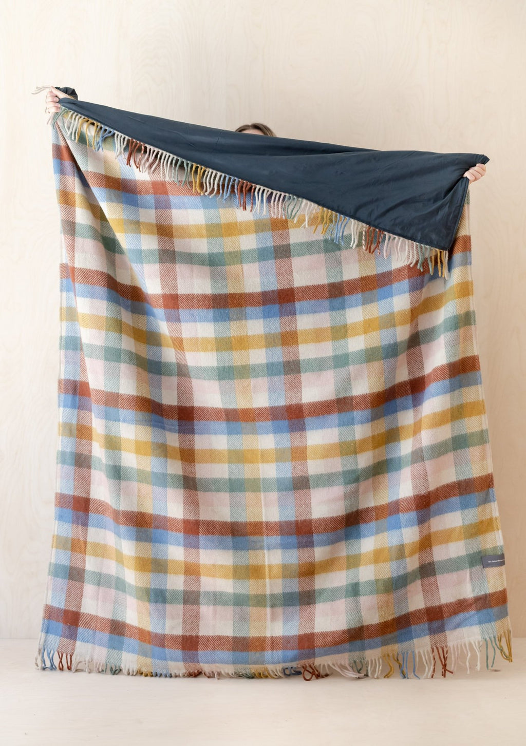 Rainbow Check Picnic Blanket