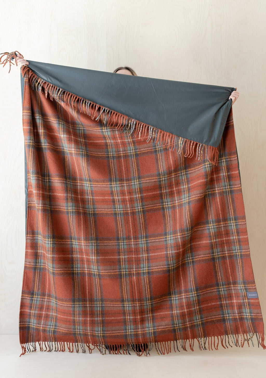 Stewart Royal Antique Tartan Picnic Blanket