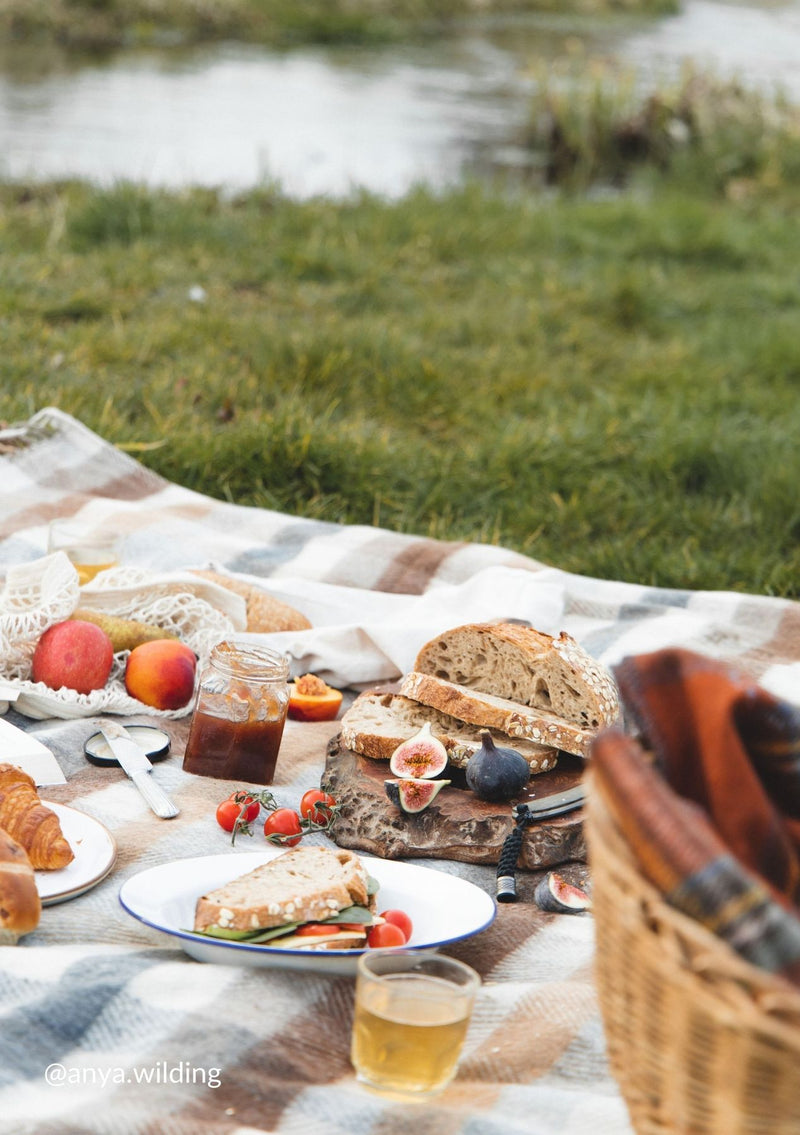 Neutral Check Picnic Blanket