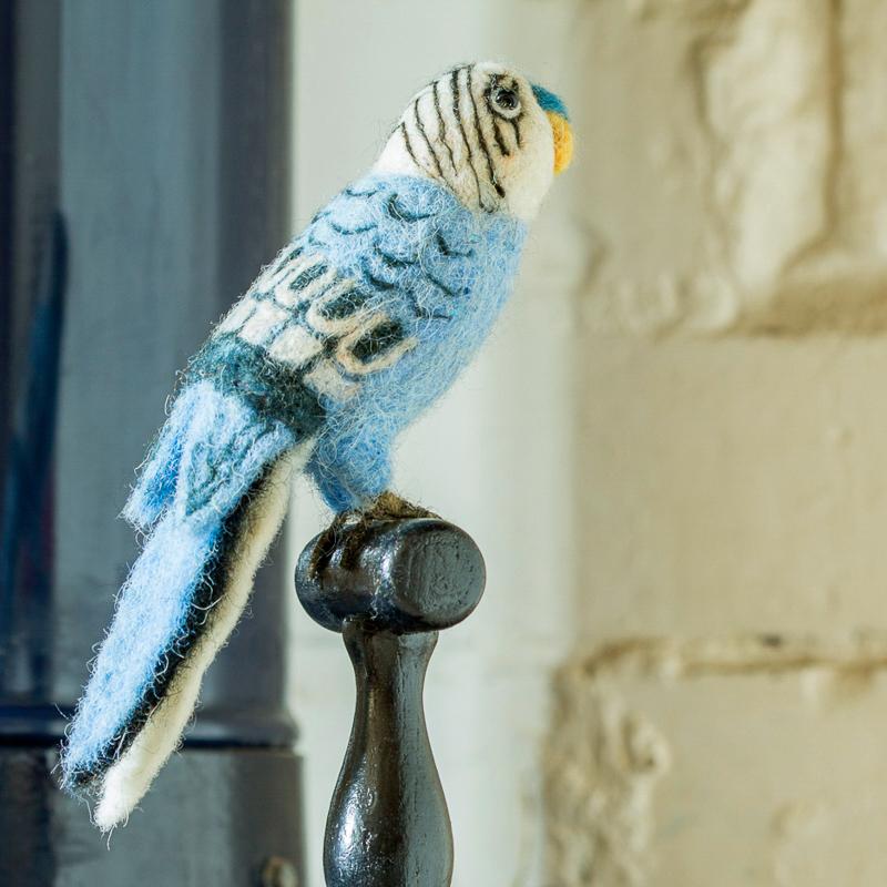 Mounted Blue Budgie