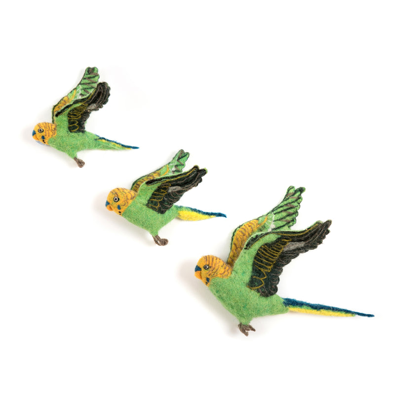 Flight of Green Budgies