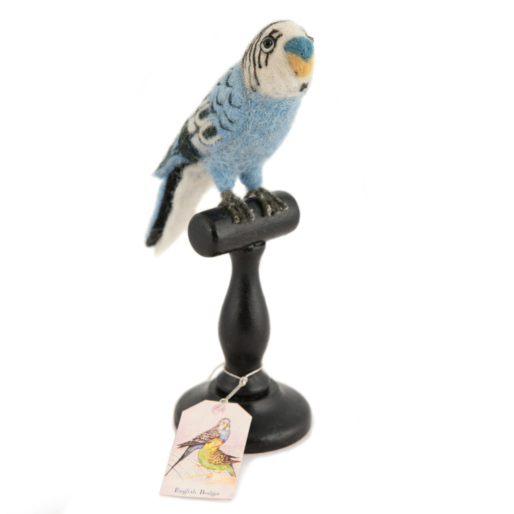 Mounted Blue Budgie