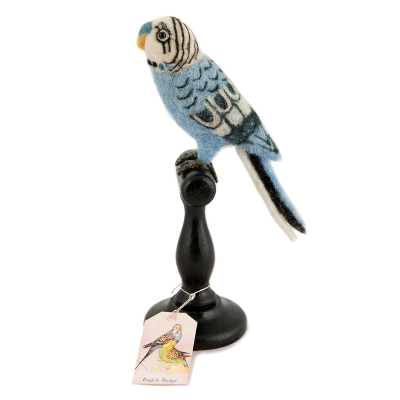 Mounted Blue Budgie