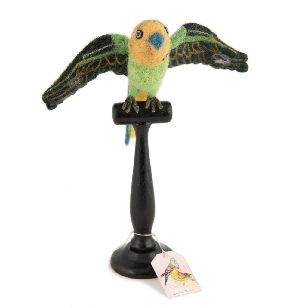 Mounted Green Budgie